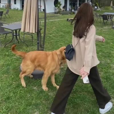 我在密苏里,我正青春