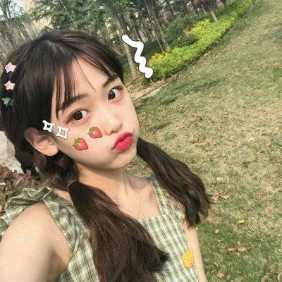 欢迎来到丛林